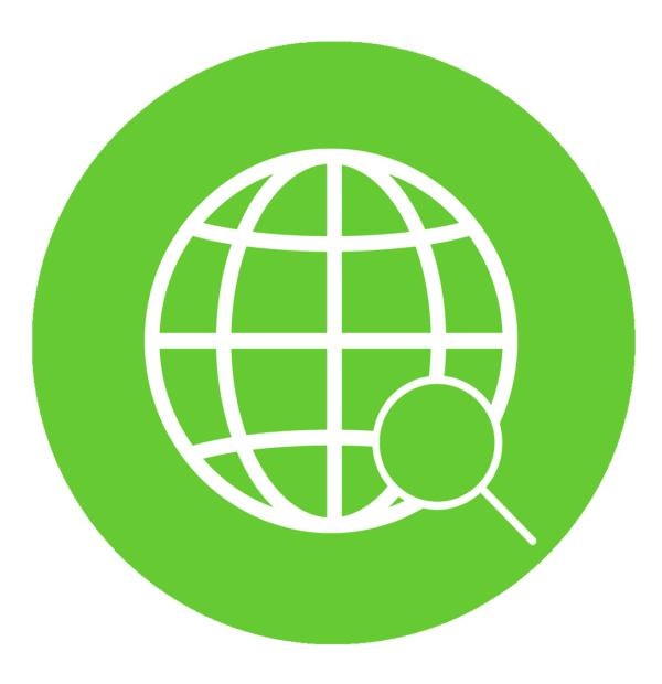Search Engine Globe Icon Magnifying Glass
